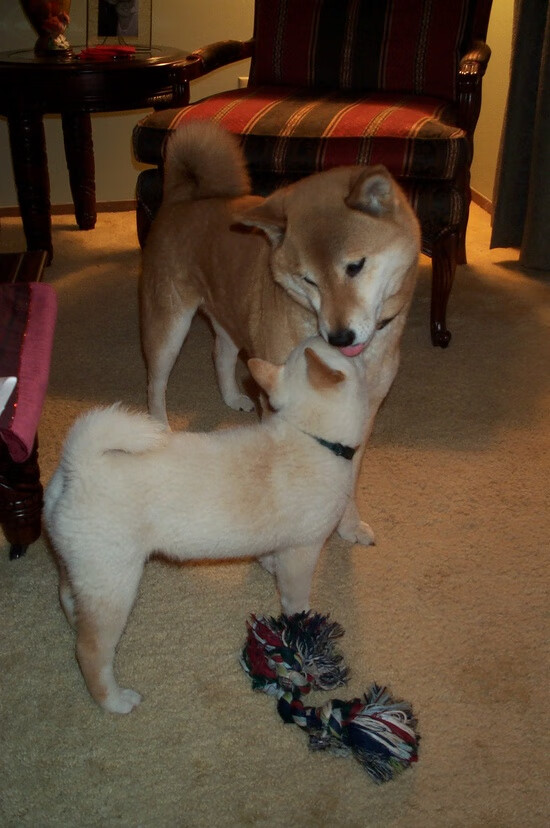 历届欧冠“十大经典对决”深度回顾,历届欧冠决赛对手