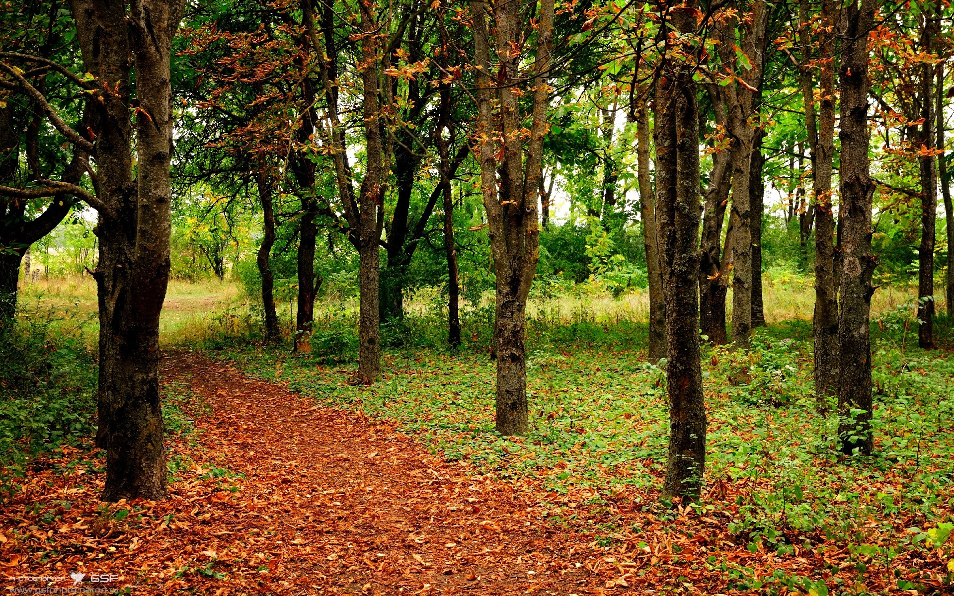 kaiyun.com-国际帆船巡回赛，海上飘扬的运动之光，国际帆船巡回赛,海上飘扬的运动之光是什么